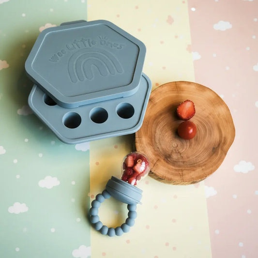 How to Introduce Solids Safely With Our Silicone Fresh Food Feeder