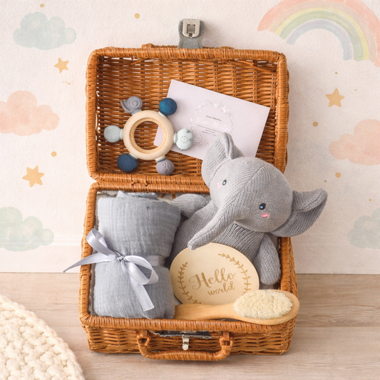 Wicker basket with baby items including a plush elephant, rattle, and 'Hello world' ball against a colorful background.