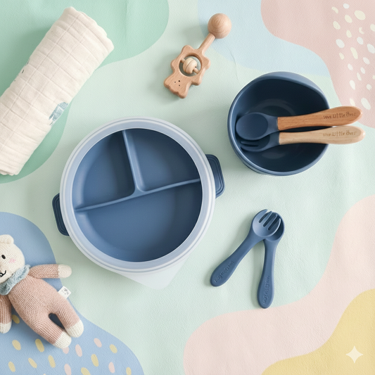 Premium Silicone Plate and Bowl